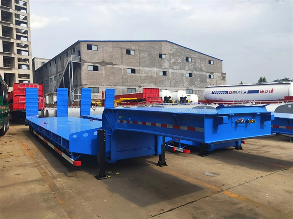 Trailer Semi Tempat Tidur Rendah yang dibuat khusus